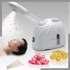 2 in 1 Facial Steamer and Hair Steamer